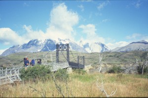 0352 PAINE - cesta od Laguna Amarga.jpg